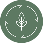 Green Design Icon